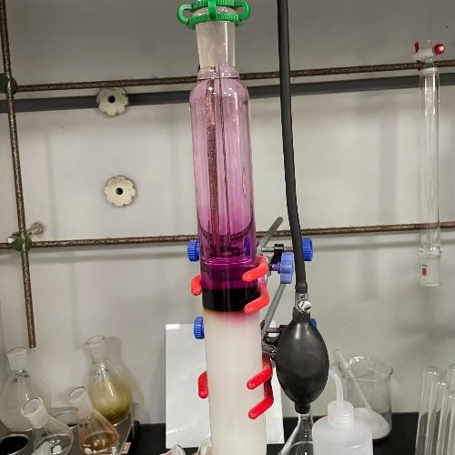 Large Chromatography Column