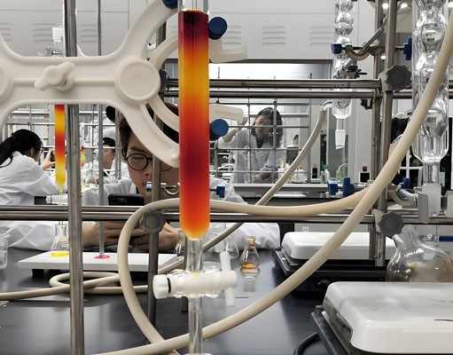 Pall Chromatography Column | Shaanxi Achieve chem-tech Pall Chromatography Column | Shaanxi Achieve chem-tech